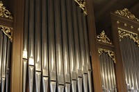 Schimmel setzt Orgel der Nikolauskirche in Bonndorf-Wellendingen zu