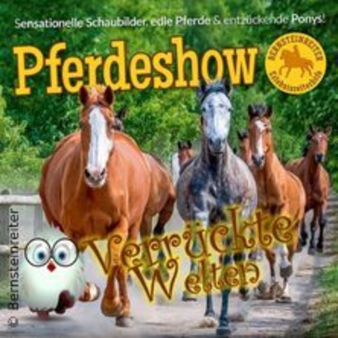 Pferdeshow Verrckte Welten 2024 - RIBNITZ-DAMGARTEN OT HIRSCHBURG - 31.10.2024 18:00