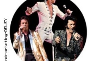 Oliver Steinhoff: Elvis - His Life in Music