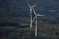 Lrrachs Landrtin positioniert sich fr den Ausbau der Windkraft im Kreis