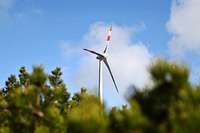 Nach dem Brgerentscheid: Genossenschaften halten am geplanten Windpark am Blauen fest