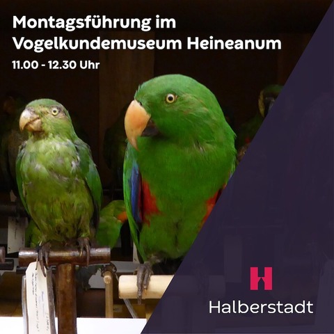 Montags im Heineanum - Exklusiver Einblick in das Vogelkundemuseum - Halberstadt - 08.07.2024 11:00