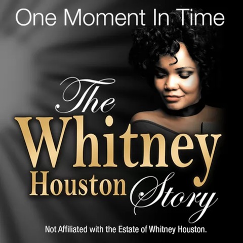 One Moment in Time - The Whitney Houston Story - Uelzen - 28.11.2024 19:30