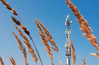 Ein 50 Meter hoher Mobilfunkturm soll in Horben gebaut werden
