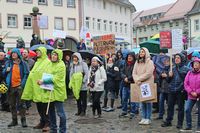 Demo unterm Regenschirm: "Deutschland braucht keine Alternative"
