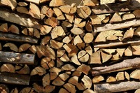 Dieb klaut Holz aus Freiburger Waldstck
