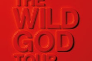 Diamond VIP Package - Nick Cave & The Bad Seeds - The Wild God Tour