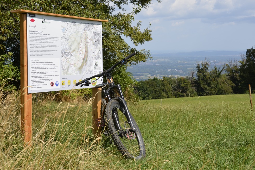 Schnbergtrail - Ebringen