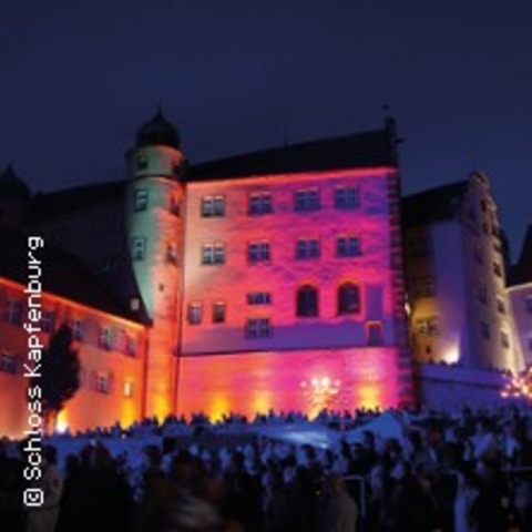 Das Schlossfest - Wild One & Let's Fetz | Festival Schloss Kapfenburg - Lauchheim - 27.07.2024 17:30