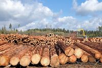 Holzwerk Rtenbach wird illegale Bauschuttablagerung vorgeworfen