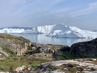 Im grnlndischen Ilulissat gibt es ein modernes Museum, das ber die arktische Wunderkammer informiert
