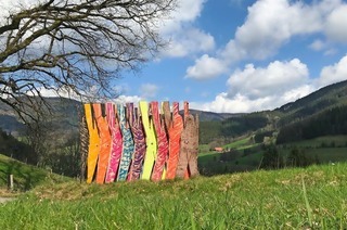 Kunst trifft auf Natur rund um den Wisdishof in Simonswald