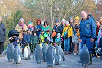 Fast 1,2 Millionen Menschen: Zoo Basel verzeichnet Besucherrekord
