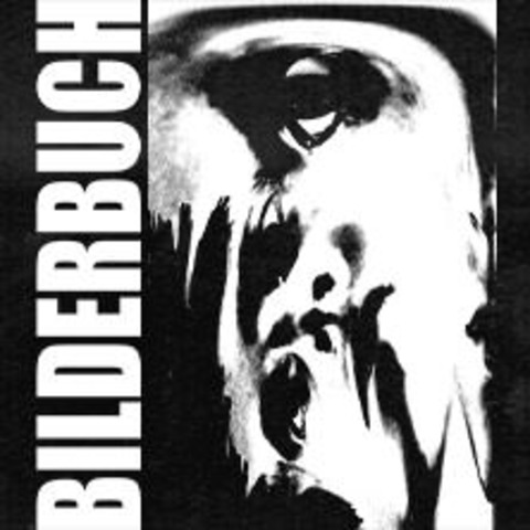 Bilderbuch - Softpower Tour 2024 - Heidelberg - 17.11.2024 19:00