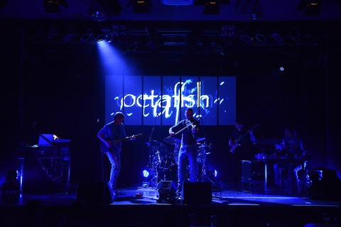 Octafish - Reutlingen - 23.10.2024 20:00