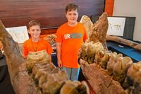 Junge Hobbygrber aus Bayern finden Knochen von alten Ur-Elefanten