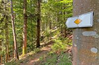 Ehemaliger Vorsitzender Schwarzwaldverein Staufen-Bad Krozingen: "Nur zu wandern, war mir zu wenig"