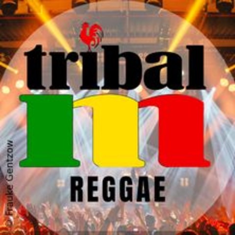 Tribal M. - Reggae - DUISBURG - 08.11.2024 20:00