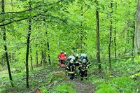 Ein Mann ist bei Arbeiten im Kippenheimer Wald schwer verletzt worden