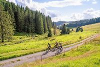 Der Hochschwarzwald bekommt ein neues Radwegenetz &#8211; mit rund 1000 Kilometer Strecke