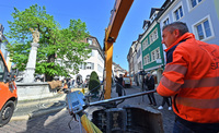 Freiburger Wahrzeichen hat noch eine Chance: Oberlinden-Linde ist standfester als gedacht