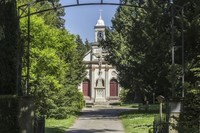 Eine Fhrung auf dem Offenurger Waldbachfriedhof bringt Interessierten das Arboretum nher