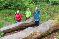 Darum beteiligt sich Freiamt seit 25 Jahren am Naturpark Sdschwarzwald