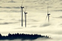 Nabu sorgt sich um Fledermuse wegen neuer Windkraftanlagen in Grafenhausen