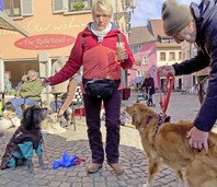 Hundeschule besucht Bad Sckingen