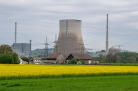 Habeck-Mitarbeiter ignorierten wohl Bedenken bei Atomkraft-Aus