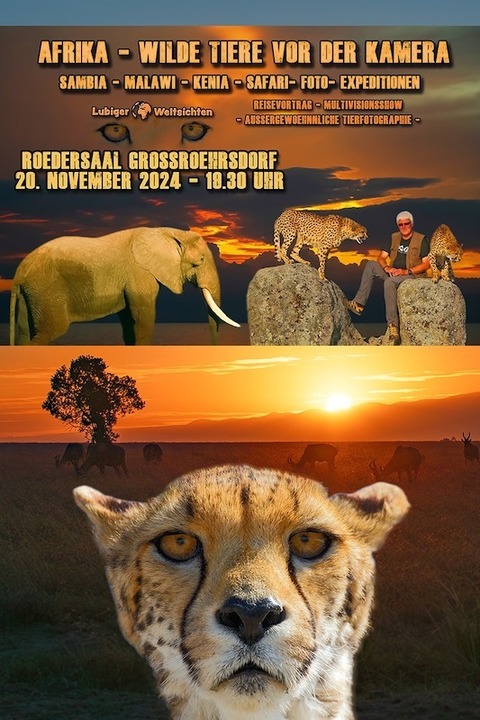Afrika - Wilde Tiere vor der Kamera - Grorhrsdorf - 20.11.2024 19:30