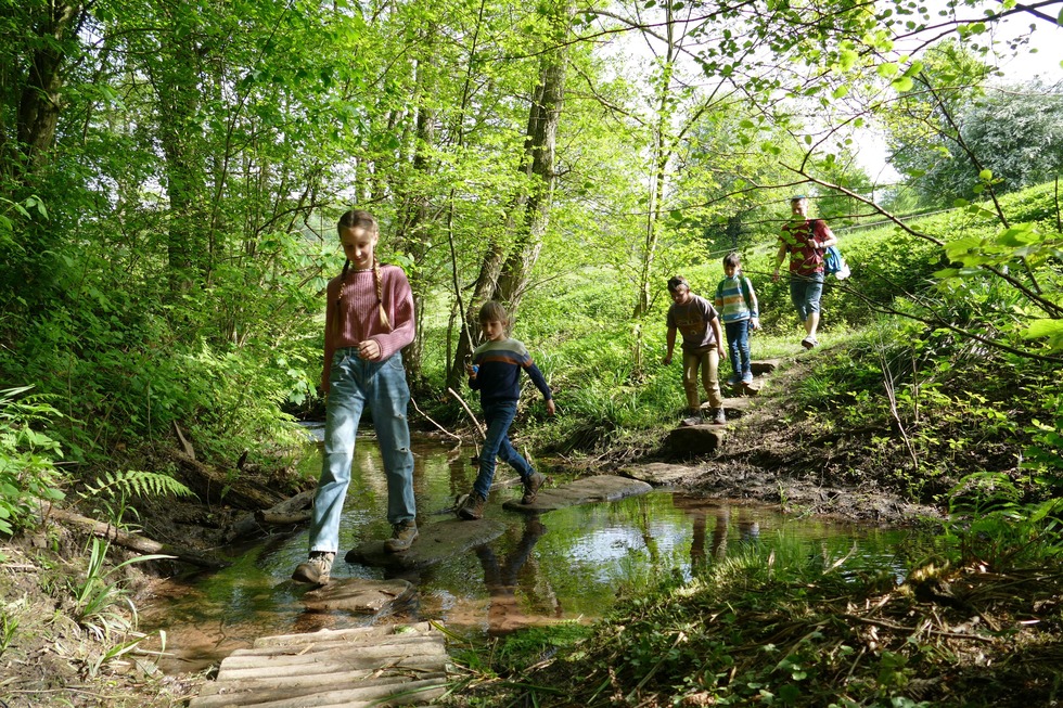 Wasserpfad Sulzbachtal - Lahr