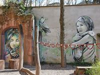 Fotos: Das sind die Murals im Freiburger Stadtgebiet
