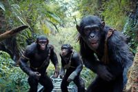 Der vierte Teil von "Planet der Affen" spielt im Urwald der Zivilisation