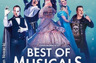 Best of Musicals - Highlights aus ber 20 Musicals