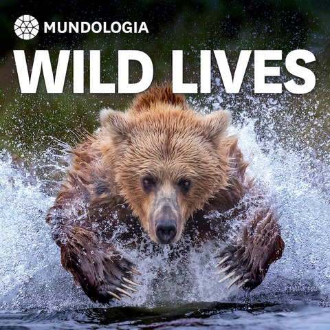 MUNDOLOGIA: Wild Lives - Freiburg - 01.02.2025 20:00