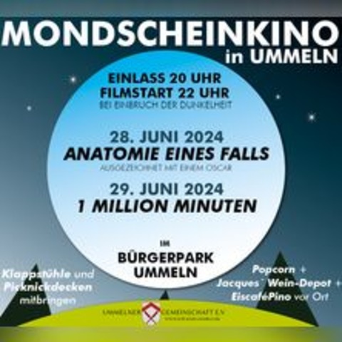 Mondscheinkino Ummeln | Anatomie eines Falls - BIELEFELD - 28.06.2024 20:00