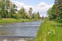 Fluss-Renaturierung "Wiese vital" in Basel startet mit einer Teststrecke