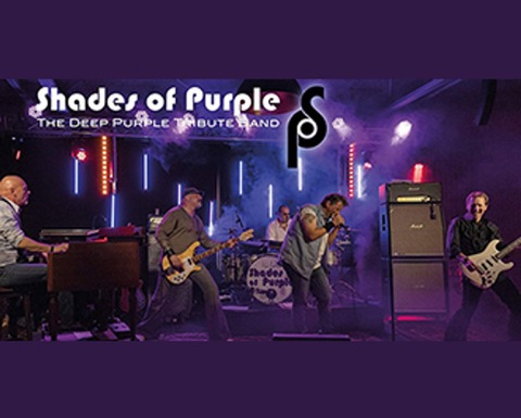 Shades of Purple - Dornach - 16.11.2024 20:30