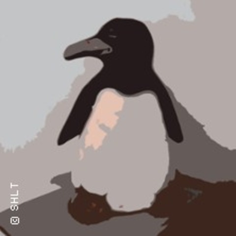 Der dickste Pinguin vom Pol - Brunsbttel - 17.12.2024 09:00