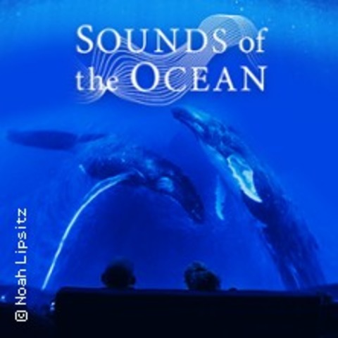Sounds of the Ocean - An Immersive Live Experience - BERLIN - 09.11.2024 20:00