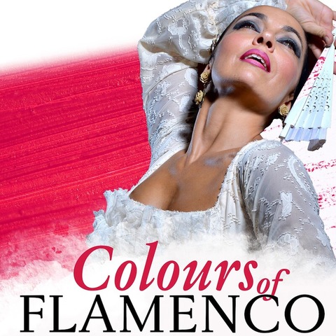 Flamenco Vida - Stuttgart - 24.11.2024 19:30