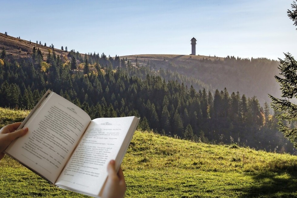 Auf aussichtsreichen Wegen durch die Feldberger Natur mit Dichterstimmen auf dem Ohr - Badische Zeitung TICKET