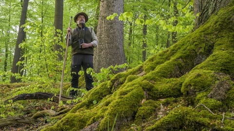 Rangerfhrung auf der Sauerland Waldroute - Balve - 19.10.2024 14:00