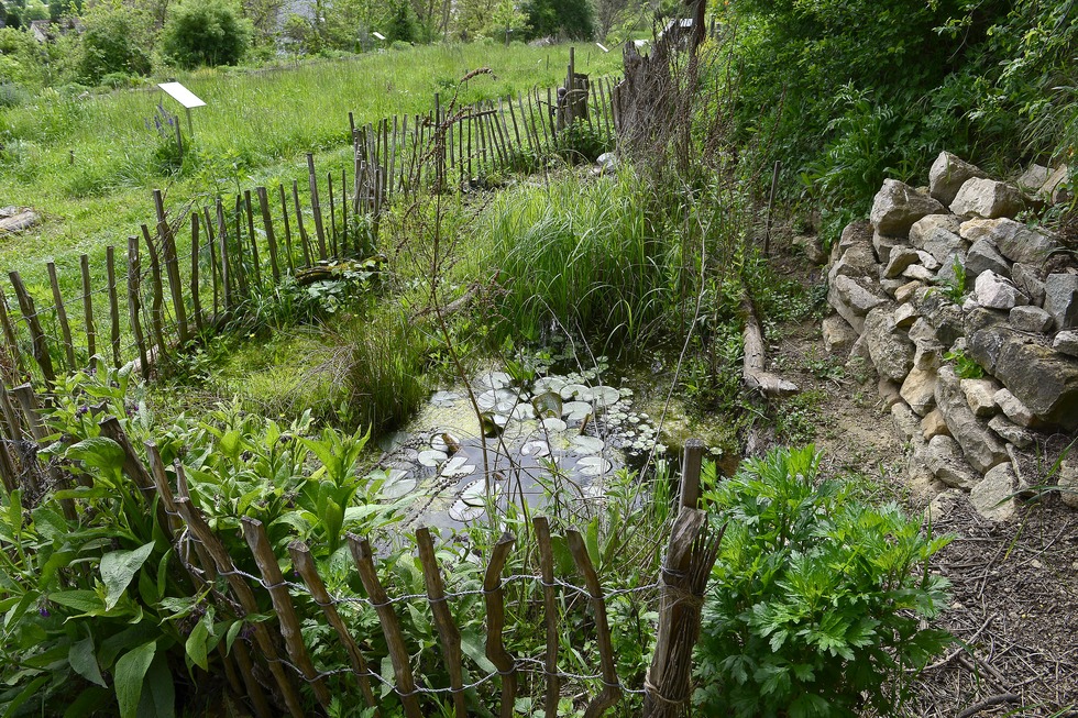 Wildbienen-Lehrgarten (Opfingen) - Freiburg