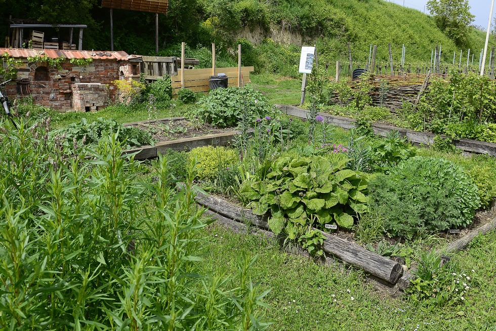 Wildbienen-Lehrgarten (Opfingen) - Freiburg