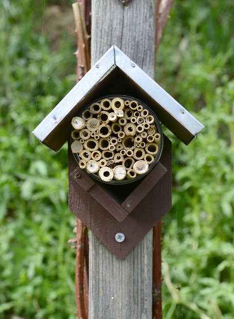 Wildbienen-Lehrgarten (Opfingen) - Freiburg