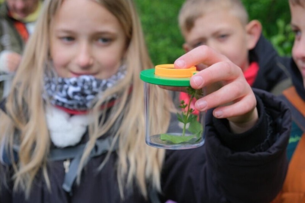 Insektenpfad - Bad Bellingen