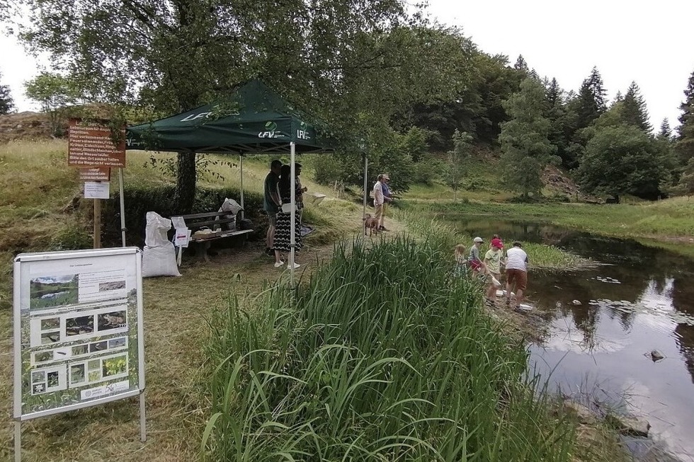 Abenteuer Letzberg mit Natur-Parcours rund um den Weiher in Schnau - Badische Zeitung TICKET