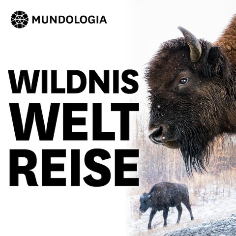 MUNDOLOGIA: Wildnis Weltreise - Freiburg - 10.01.2025 19:30